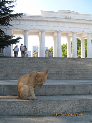 Прикрепленное изображение: IMG_0359.JPG